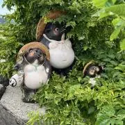 タヌぽんの画像