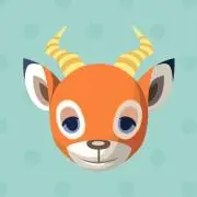 ナカムラの画像
