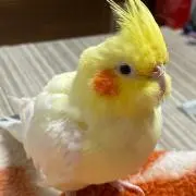 風の丘の画像