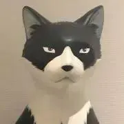 niaの画像