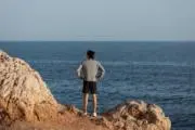 ZFGの画像