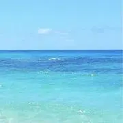 seaの画像
