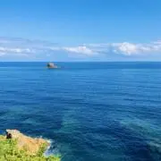 ごん☆の画像