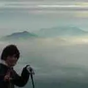 ニャムの画像