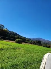 おすしの画像