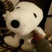 ゆづ