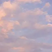くまの画像
