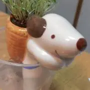 hiroの画像