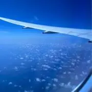 Suzuの画像