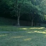 いいね要りません。の画像
