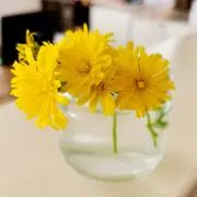 ❁ibumii❁の画像