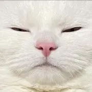 そ。の画像