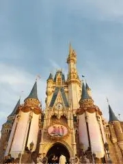 メニーミニー