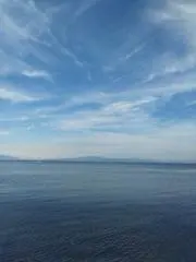 Kyoの画像