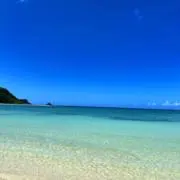 ラッキーの画像