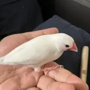 のりのり