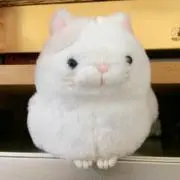 れねの画像