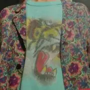 ルリビタキ