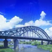 たかの画像