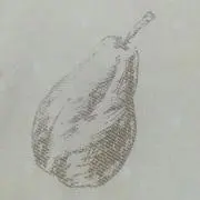 melonの画像