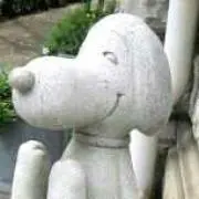 ペコペコの画像