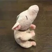 hanachanの画像