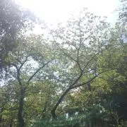 0712の画像