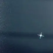 らーずの画像