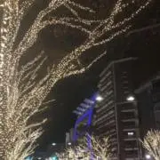 TASHOの画像