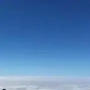 レモン