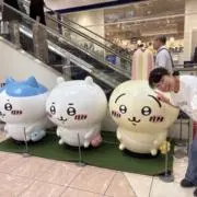 ハッピースマイルの画像