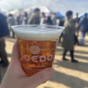 TT117の画像