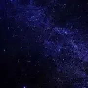 negitoroの画像