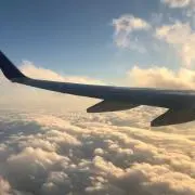 めっちゃホワイトの画像