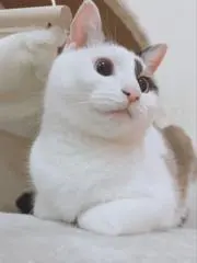 ⭐︎莉星⭐︎の画像