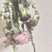 ＊sora＊の画像