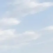えだまめの画像
