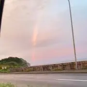 さっぱの画像