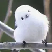 ゆたかの画像