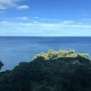 Bayern 古物古着販売の画像