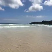 うさみーの画像