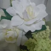 チロコ  ☆プロフお読みください☆の画像