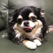 ✴︎tuyo✴︎の画像