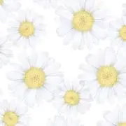ロン(プロフ必読)の画像
