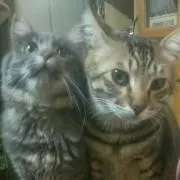 ちぃ&くぅ