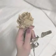 unの画像