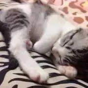 るー。