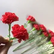 わたあめの画像