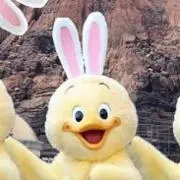 くぅーたんの画像