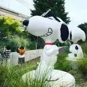 ぽぽの画像